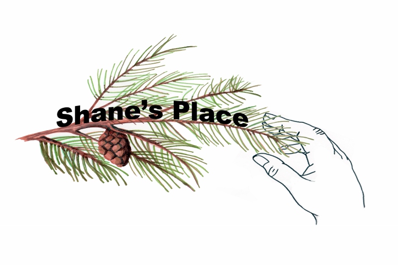 Shane's Place